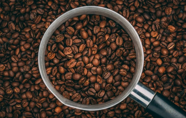 Netherlands' Coffee Bean Export Reaches Record High of $978M in 2023
