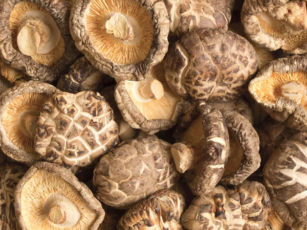 Dried Mushroom Market in Eastern Europe - Poland Emerges as the Largest and Fastest-Growing Market