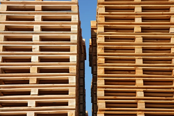 Wood Flat Pallet Price in France Plummets 38% to $9.2 per Unit