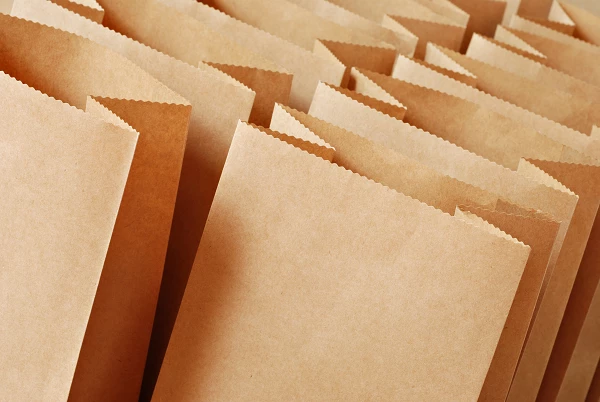 Import of Turkey's Paper Bag Machine Soars by 28% to $1.1M in July 2023