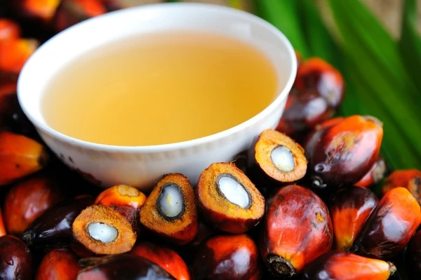 Palm Oil Price in Italy Rises Notably to $1,289 per Ton
