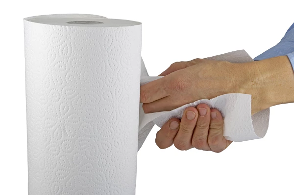 October 2023 Sees Hong Kong's Import of Paper Hand Towels Decline Modestly to $11M