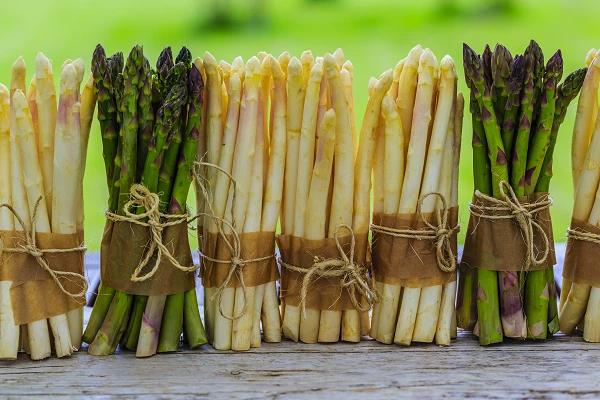 Preserved Asparagus Import in United States Plummets 12%, Averaging $1.2M in March 2023