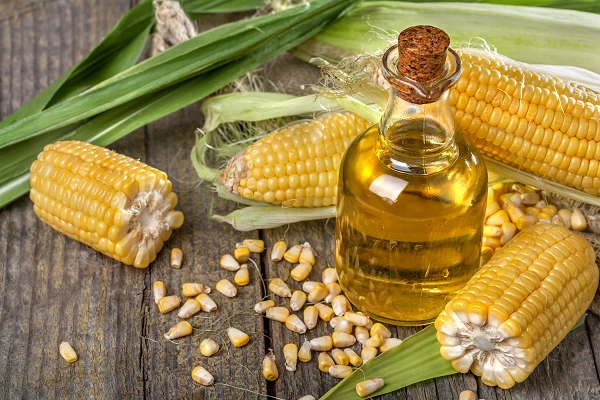 Surge in Canada's September 2023 Imports of Refined Maize Oil Reaches $1.9M
