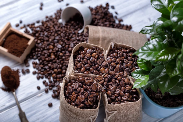 Non-decaffeinated Roasted Coffee Import in United States Increases Significantly to $154M in March 2023