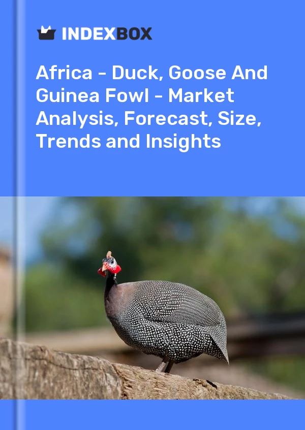 Report Africa - Duck, Goose and Guinea Fowl - Market Analysis, Forecast, Size, Trends and Insights for 499$