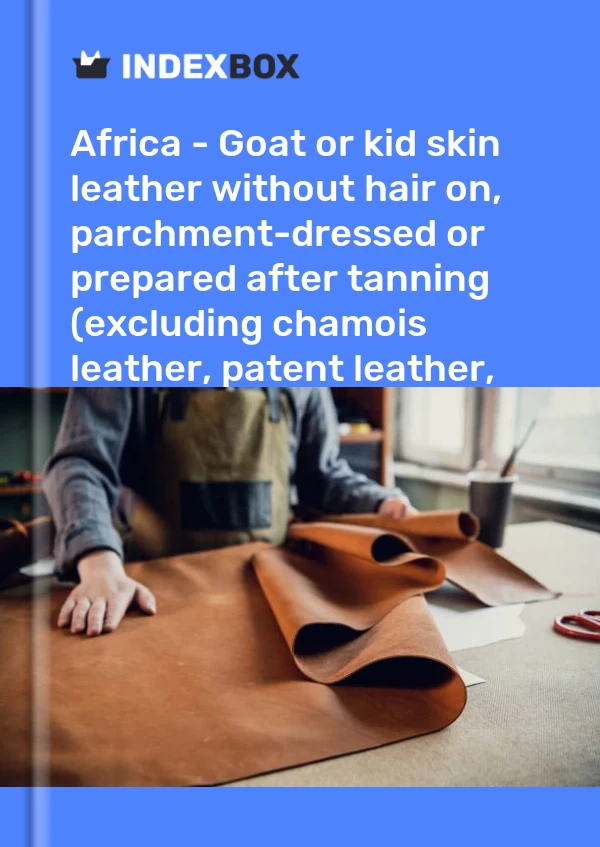 Report Africa - Goat or kid skin leather without hair on, parchment-dressed or prepared after tanning (excluding chamois leather, patent leather, patent laminated leather and metallised leather) - Market Analysis, Forecast, Size, Trends and Insights for 499$