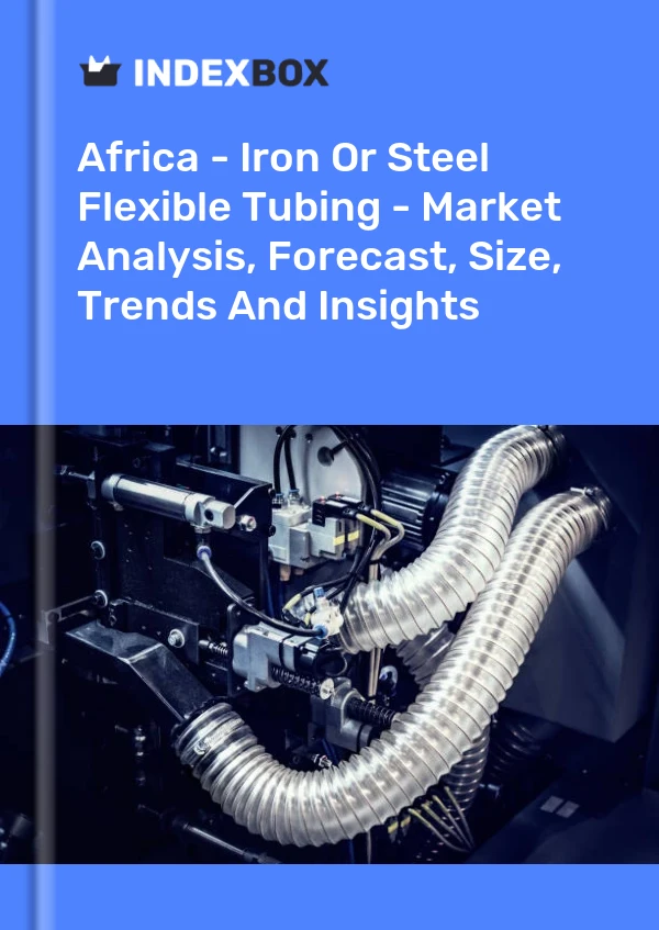 Report Africa - Iron or Steel Flexible Tubing - Market Analysis, Forecast, Size, Trends and Insights for 499$