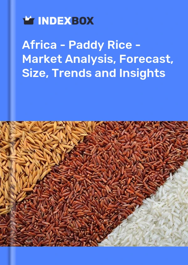 Report Africa - Paddy Rice - Market Analysis, Forecast, Size, Trends and Insights for 499$