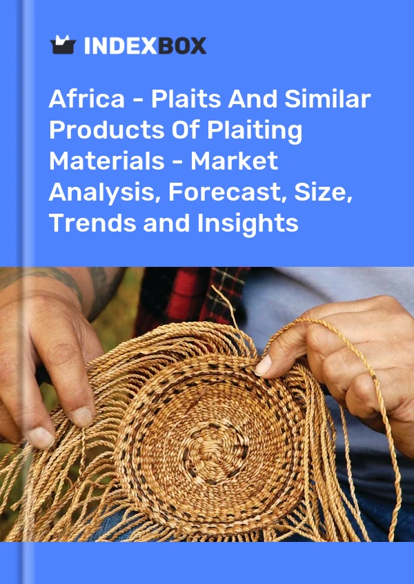 Report Africa - Plaits and Similar Products of Plaiting Materials - Market Analysis, Forecast, Size, Trends and Insights for 499$