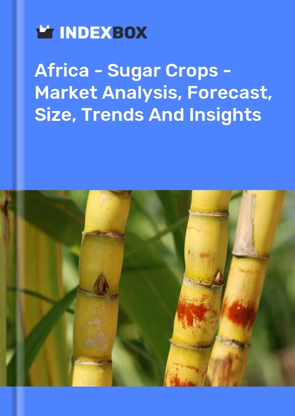 Report Africa - Sugar Crops - Market Analysis, Forecast, Size, Trends and Insights for 499$