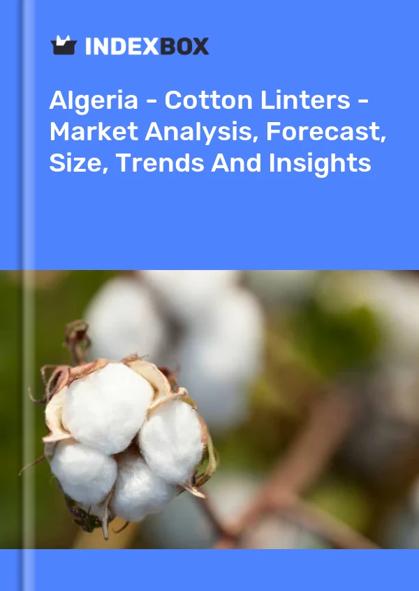 Report Algeria - Cotton Linters - Market Analysis, Forecast, Size, Trends and Insights for 499$
