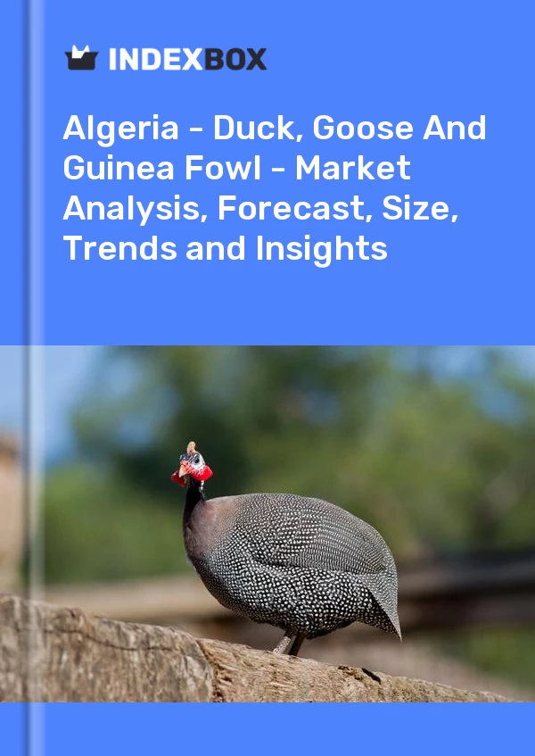 Report Algeria - Duck, Goose and Guinea Fowl - Market Analysis, Forecast, Size, Trends and Insights for 499$