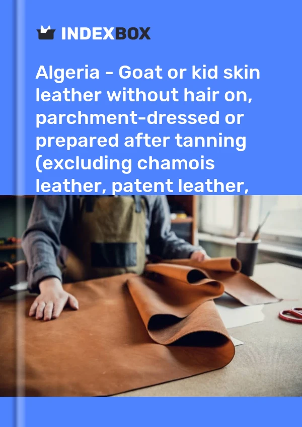 Report Algeria - Goat or kid skin leather without hair on, parchment-dressed or prepared after tanning (excluding chamois leather, patent leather, patent laminated leather and metallised leather) - Market Analysis, Forecast, Size, Trends and Insights for 499$