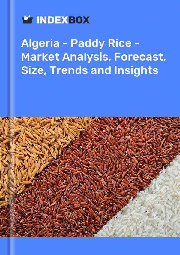 Report Algeria - Paddy Rice - Market Analysis, Forecast, Size, Trends and Insights for 499$