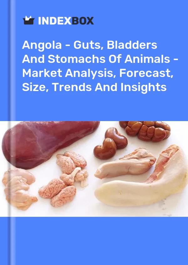 Report Angola - Guts, Bladders and Stomachs of Animals - Market Analysis, Forecast, Size, Trends and Insights for 499$