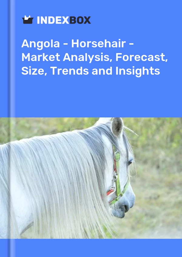 Report Angola - Horsehair - Market Analysis, Forecast, Size, Trends and Insights for 499$