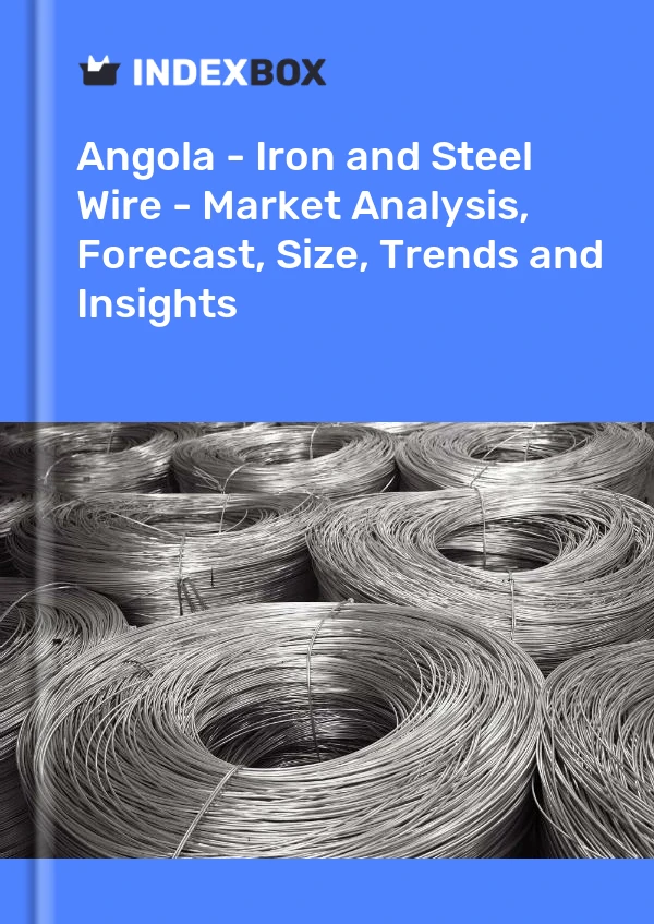 Report Angola - Iron and Steel Wire - Market Analysis, Forecast, Size, Trends and Insights for 499$