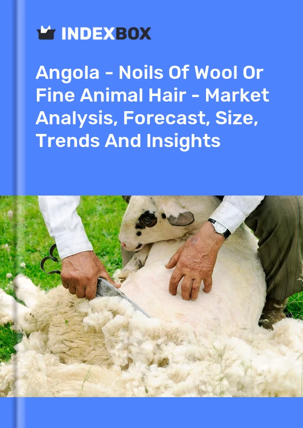 Report Angola - Noils of Wool or Fine Animal Hair - Market Analysis, Forecast, Size, Trends and Insights for 499$
