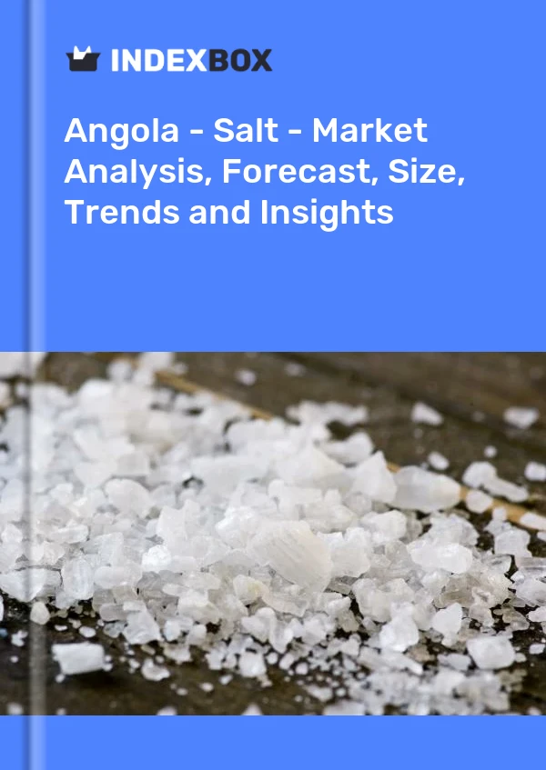 Report Angola - Salt - Market Analysis, Forecast, Size, Trends and Insights for 499$
