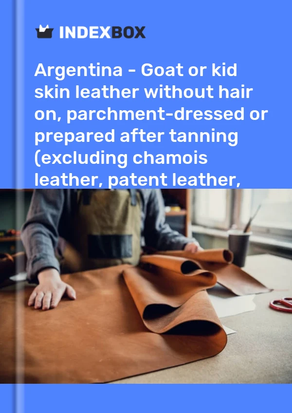 Report Argentina - Goat or kid skin leather without hair on, parchment-dressed or prepared after tanning (excluding chamois leather, patent leather, patent laminated leather and metallised leather) - Market Analysis, Forecast, Size, Trends and Insights for 499$
