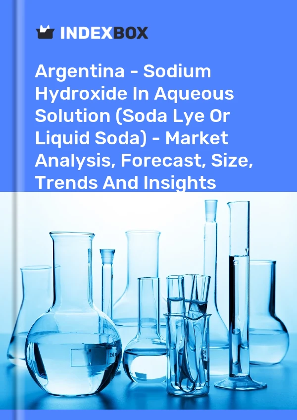 Report Argentina - Sodium Hydroxide in Aqueous Solution (Soda Lye or Liquid Soda) - Market Analysis, Forecast, Size, Trends and Insights for 499$