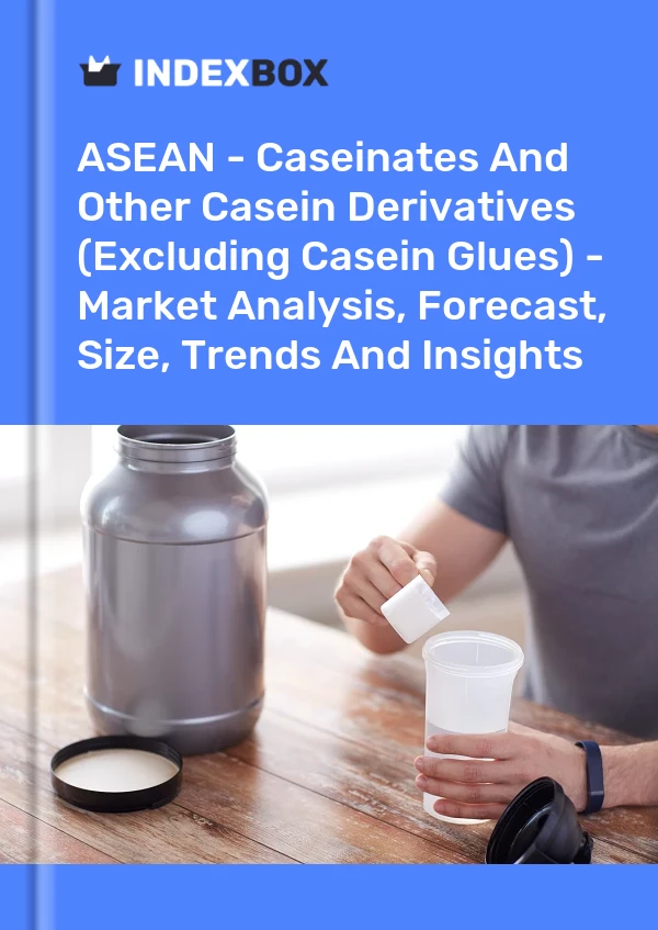 Report ASEAN - Caseinates and Other Casein Derivatives (Excluding Casein Glues) - Market Analysis, Forecast, Size, Trends and Insights for 499$