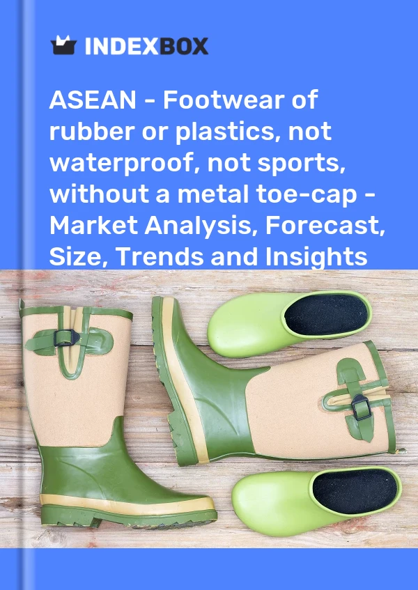 Report ASEAN - Footwear of rubber or plastics, not waterproof, not sports, without a metal toe-cap - Market Analysis, Forecast, Size, Trends and Insights for 499$