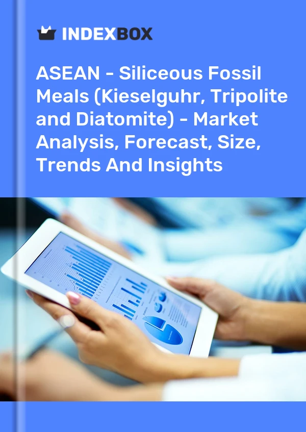 Report ASEAN - Siliceous Fossil Meals (Kieselguhr, Tripolite and Diatomite) - Market Analysis, Forecast, Size, Trends and Insights for 499$