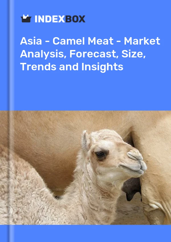 Report Asia - Camel Meat - Market Analysis, Forecast, Size, Trends and Insights for 499$