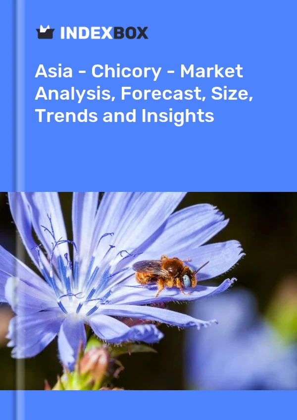 Report Asia - Chicory - Market Analysis, Forecast, Size, Trends and Insights for 499$