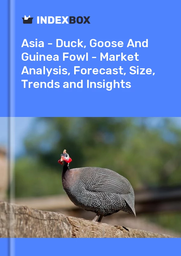 Report Asia - Duck, Goose and Guinea Fowl - Market Analysis, Forecast, Size, Trends and Insights for 499$