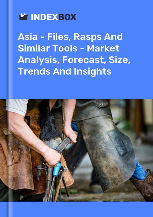 Report Asia - Files, Rasps and Similar Tools - Market Analysis, Forecast, Size, Trends and Insights for 499$