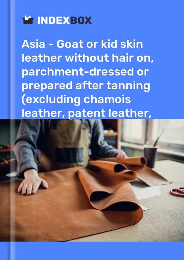 Report Asia - Goat or kid skin leather without hair on, parchment-dressed or prepared after tanning (excluding chamois leather, patent leather, patent laminated leather and metallised leather) - Market Analysis, Forecast, Size, Trends and Insights for 499$