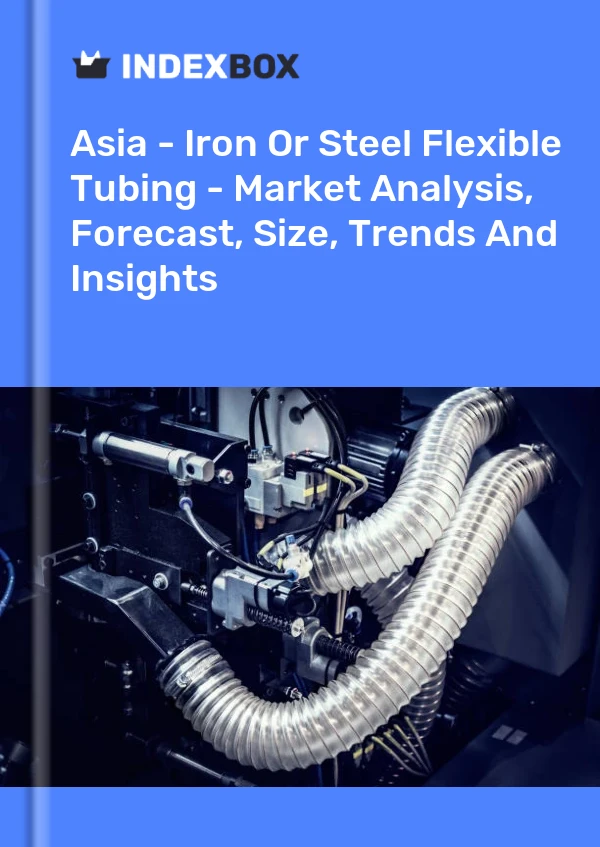 Report Asia - Iron or Steel Flexible Tubing - Market Analysis, Forecast, Size, Trends and Insights for 499$