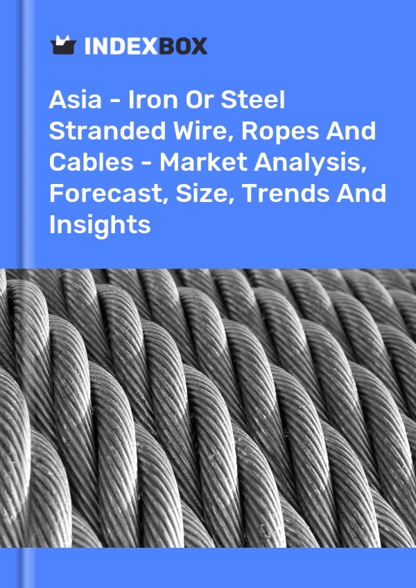 Report Asia - Iron or Steel Stranded Wire, Ropes and Cables - Market Analysis, Forecast, Size, Trends and Insights for 499$
