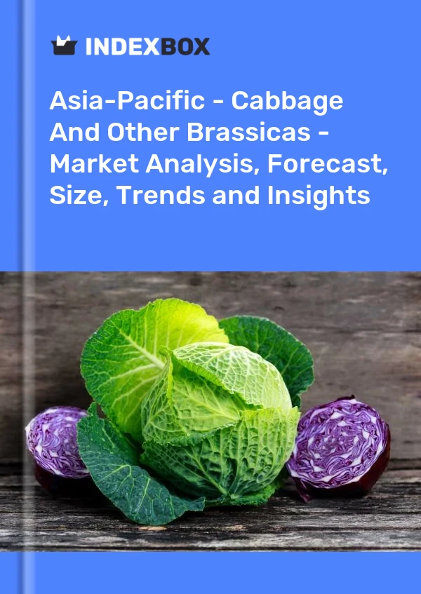 Report Asia-Pacific - Cabbage and Other Brassicas - Market Analysis, Forecast, Size, Trends and Insights for 499$