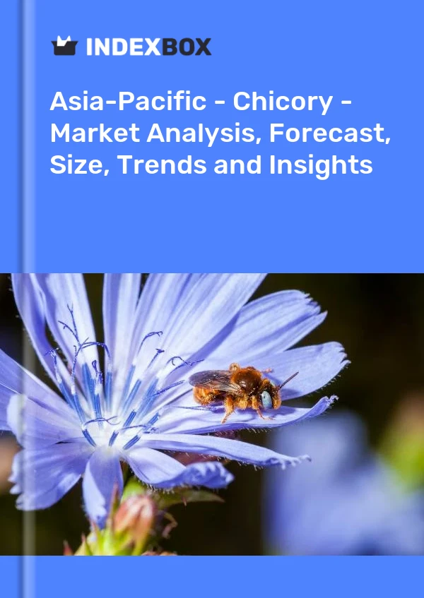 Report Asia-Pacific - Chicory - Market Analysis, Forecast, Size, Trends and Insights for 499$