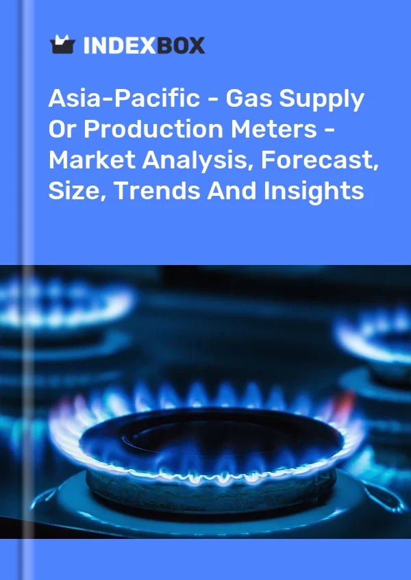 Report Asia-Pacific - Gas Supply or Production Meters - Market Analysis, Forecast, Size, Trends and Insights for 499$