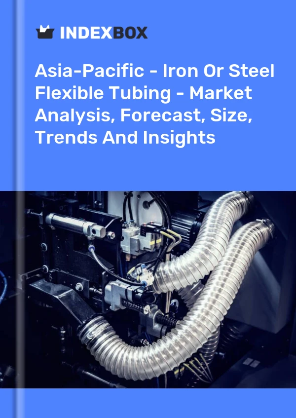 Report Asia-Pacific - Iron or Steel Flexible Tubing - Market Analysis, Forecast, Size, Trends and Insights for 499$
