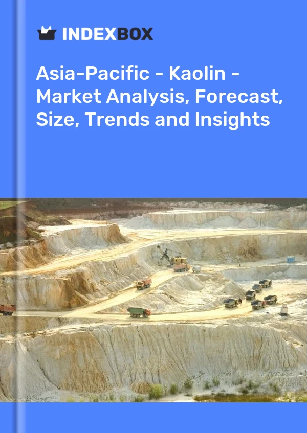 Report Asia-Pacific - Kaolin - Market Analysis, Forecast, Size, Trends and Insights for 499$