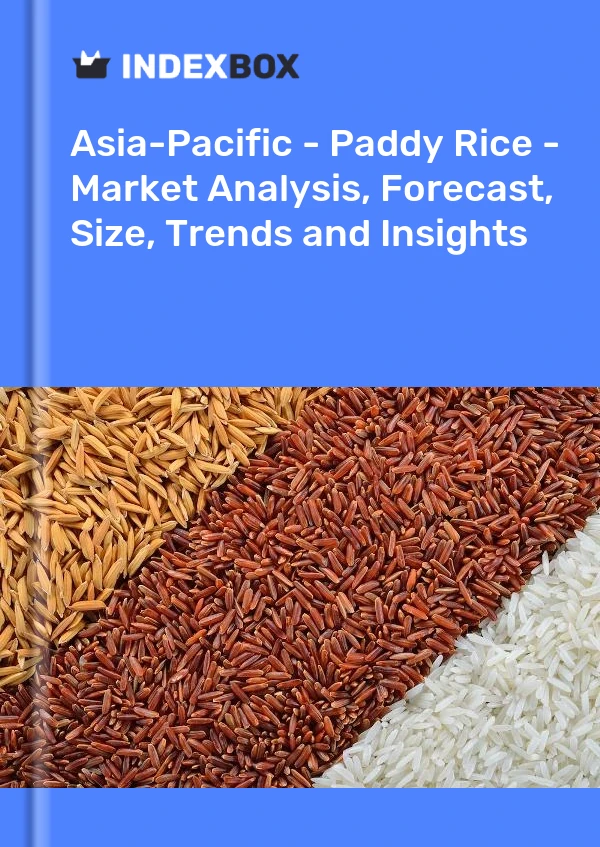 Report Asia-Pacific - Paddy Rice - Market Analysis, Forecast, Size, Trends and Insights for 499$