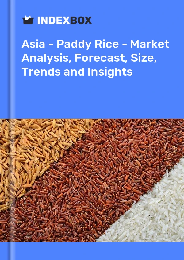 Report Asia - Paddy Rice - Market Analysis, Forecast, Size, Trends and Insights for 499$