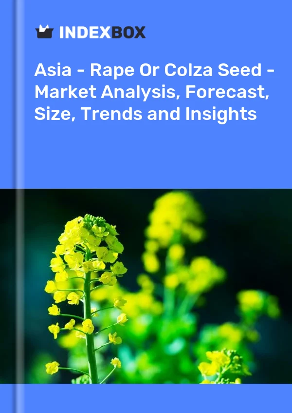 Report Asia - Rape or Colza Seed - Market Analysis, Forecast, Size, Trends and Insights for 499$