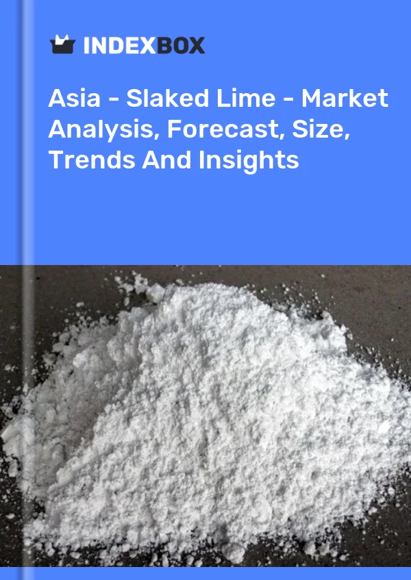 Report Asia - Slaked Lime - Market Analysis, Forecast, Size, Trends and Insights for 499$