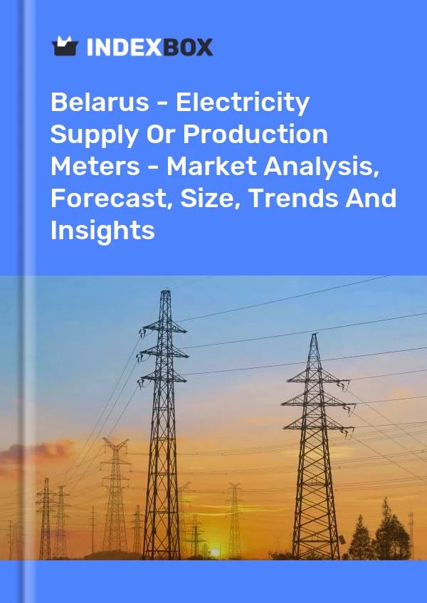 Report Belarus - Electricity Supply or Production Meters - Market Analysis, Forecast, Size, Trends and Insights for 499$