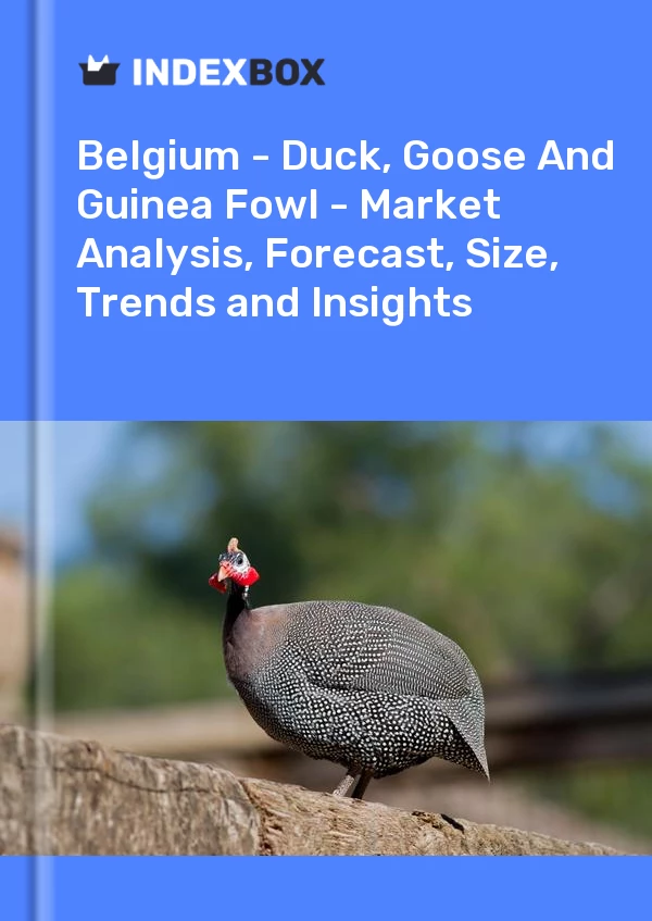 Report Belgium - Duck, Goose and Guinea Fowl - Market Analysis, Forecast, Size, Trends and Insights for 499$