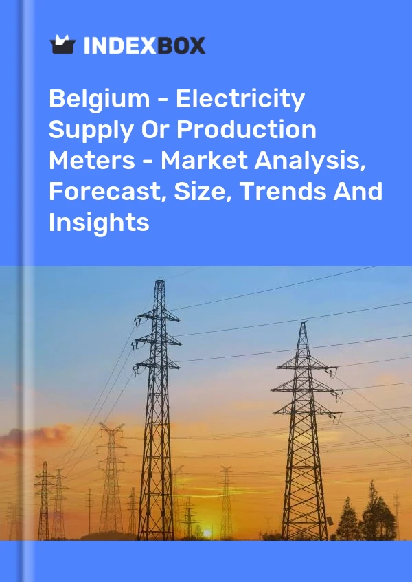 Report Belgium - Electricity Supply or Production Meters - Market Analysis, Forecast, Size, Trends and Insights for 499$