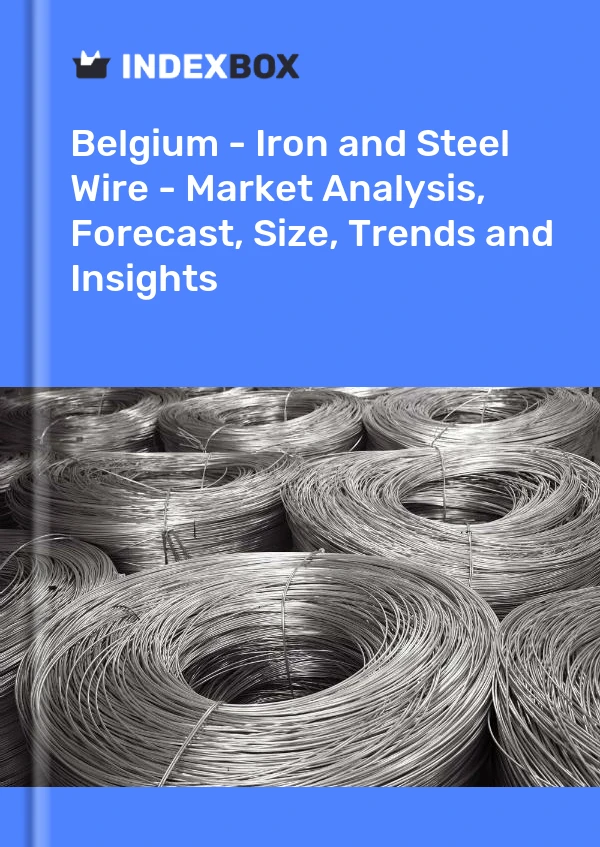 Report Belgium - Iron and Steel Wire - Market Analysis, Forecast, Size, Trends and Insights for 499$