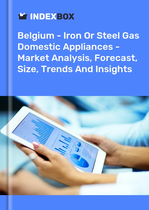 Belgium - Iron Or Steel Gas Domestic Appliances - Market Analysis, Forecast, Size, Trends And Insights